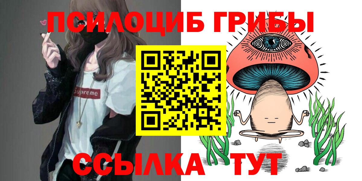 Галлюциногенные грибы прущие грибы Верхняя Пышма