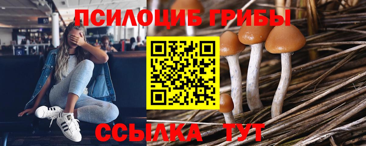 Верхняя Пышма  Галлюциногенные грибы GOLDEN TEACHER  Галлюциногенные грибы Psilocybine cubensis  Вход с VPN 
